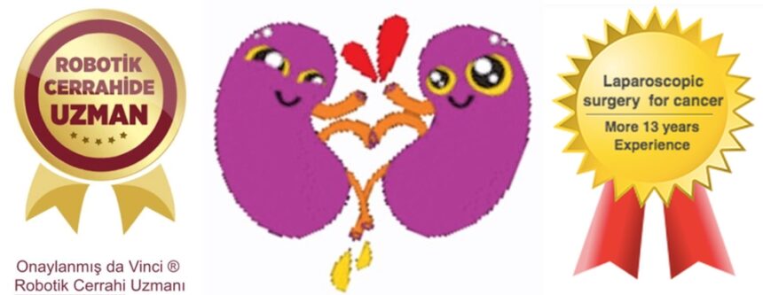 İnmemiş Testis İnmemiş Testis